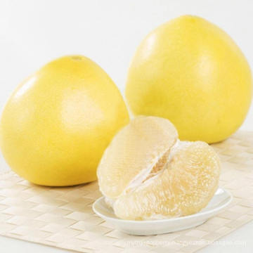 Pomelo New Crop of Fresh Honey Pomelo Wholesale Price From China